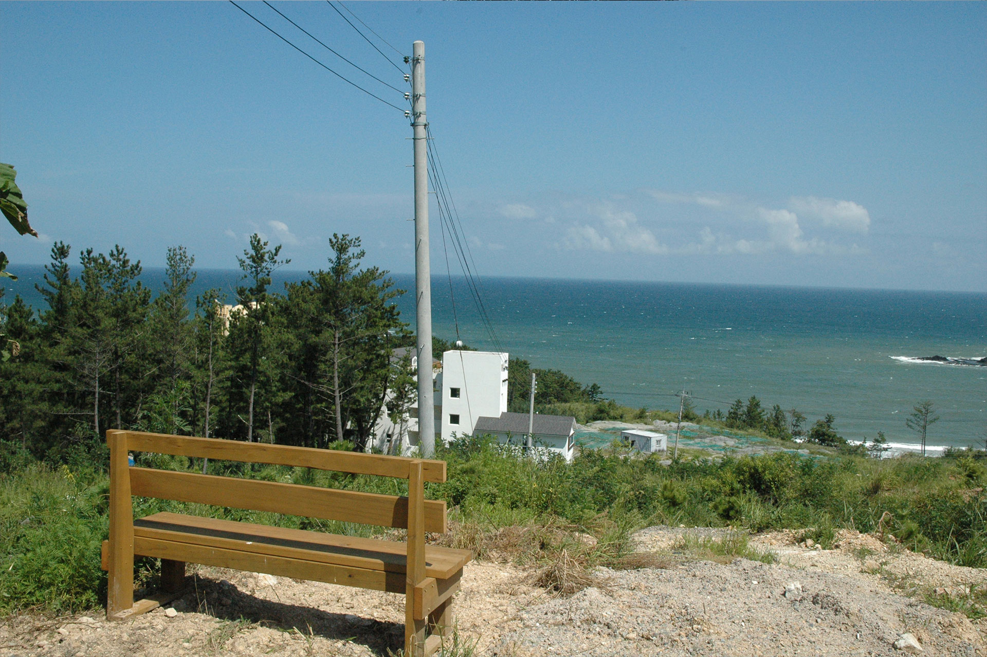 Second Image